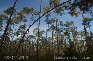 Josh Manring Photographer Decor Wall Arts - Florida Photography-167.jpg